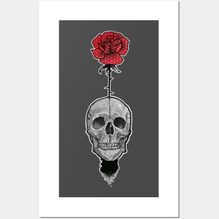 will you accept this rose? skull with red rose Posters and Art